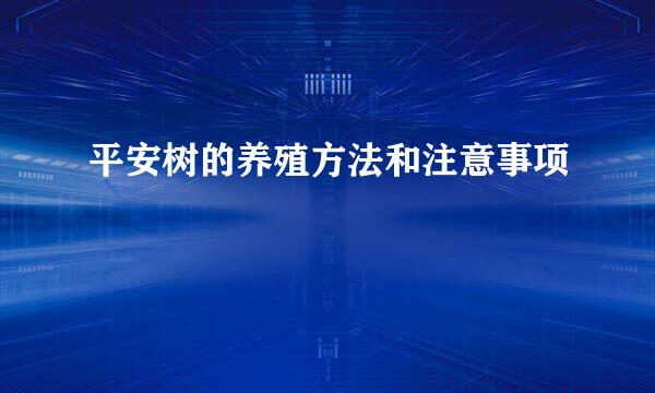 平安树的养殖方法和注意事项