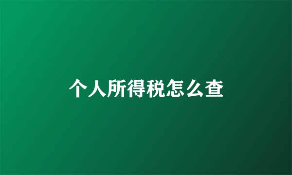 个人所得税怎么查