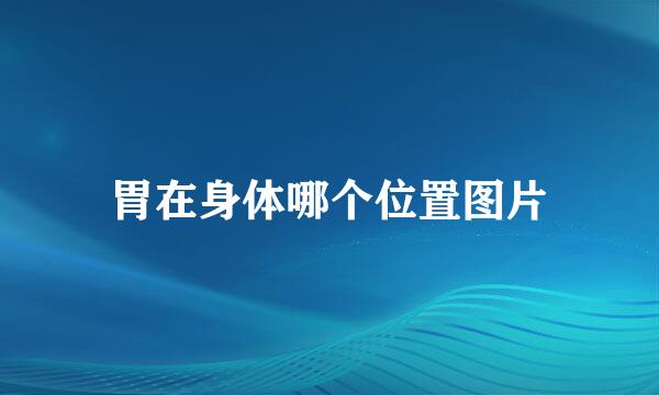 胃在身体哪个位置图片