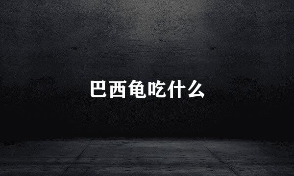 巴西龟吃什么