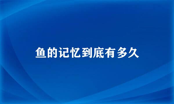 鱼的记忆到底有多久