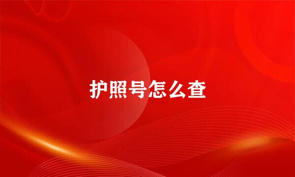 护照号怎么查
