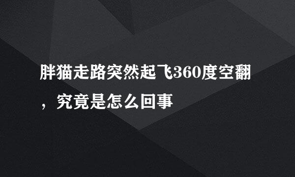 胖猫走路突然起飞360度空翻，究竟是怎么回事