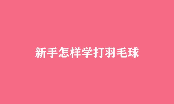 新手怎样学打羽毛球