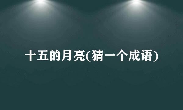 十五的月亮(猜一个成语)