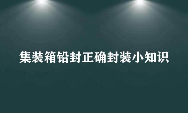 集装箱铅封正确封装小知识