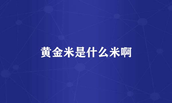 黄金米是什么米啊