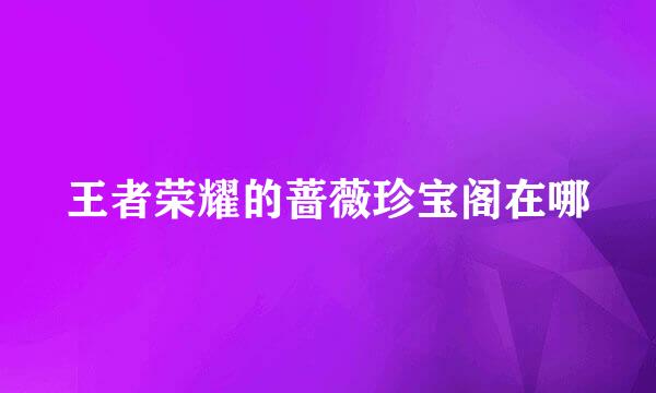 王者荣耀的蔷薇珍宝阁在哪