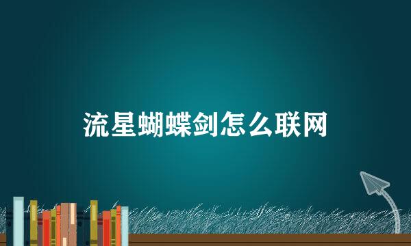 流星蝴蝶剑怎么联网