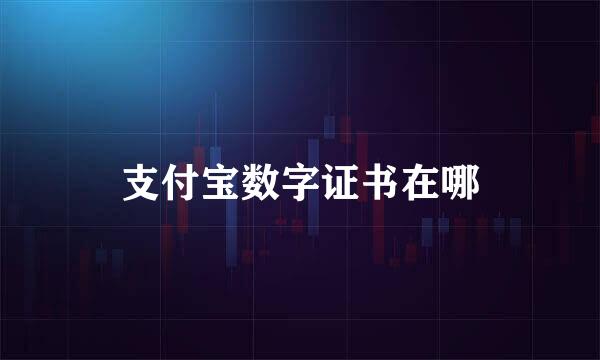 支付宝数字证书在哪