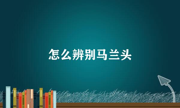 怎么辨别马兰头