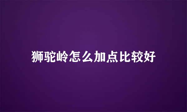 狮驼岭怎么加点比较好