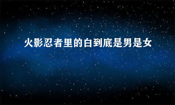 火影忍者里的白到底是男是女