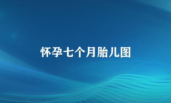 怀孕七个月胎儿图