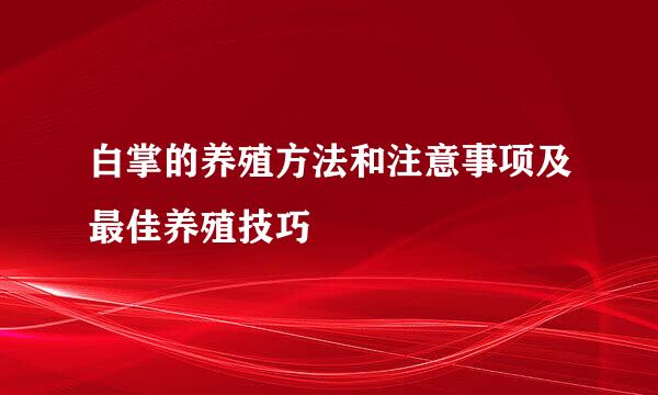 白掌的养殖方法和注意事项及最佳养殖技巧