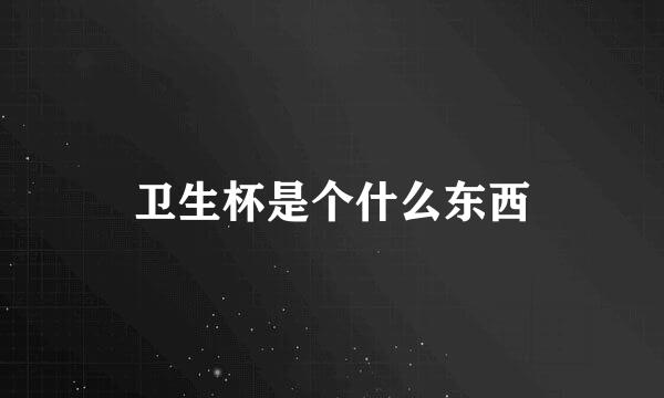卫生杯是个什么东西