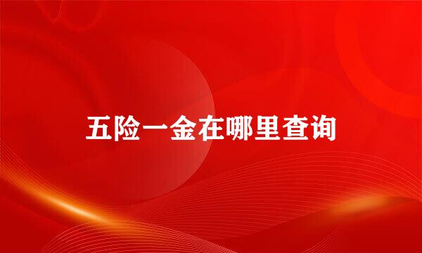 五险一金在哪里查询