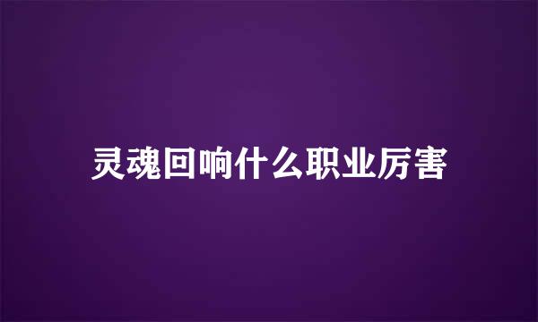 灵魂回响什么职业厉害