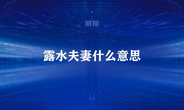 露水夫妻什么意思