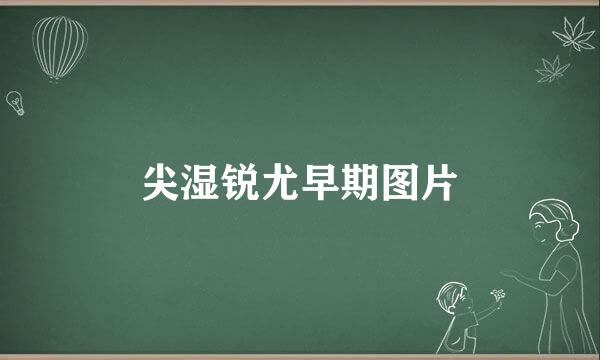 尖湿锐尤早期图片