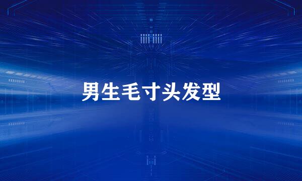 男生毛寸头发型
