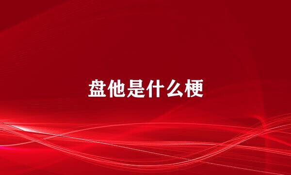 盘他是什么梗