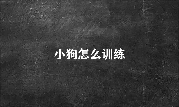 小狗怎么训练