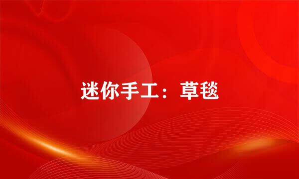 迷你手工：草毯