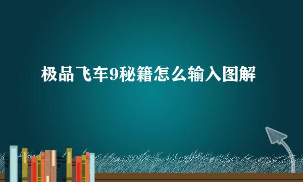 极品飞车9秘籍怎么输入图解