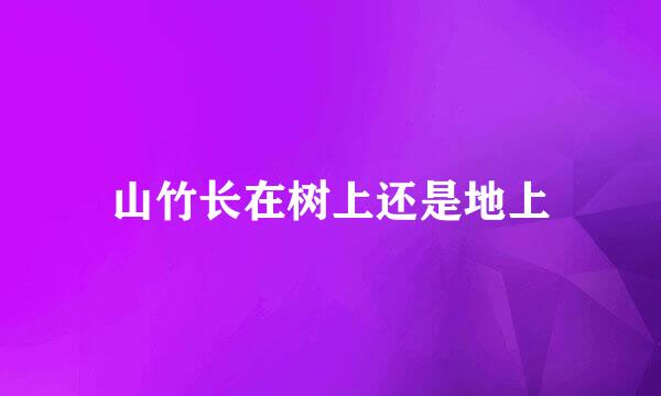 山竹长在树上还是地上
