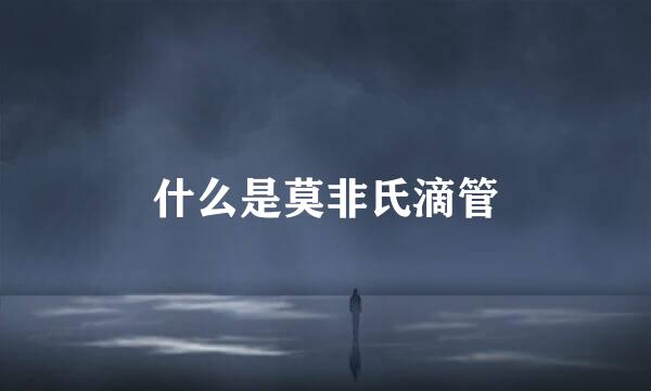 什么是莫非氏滴管