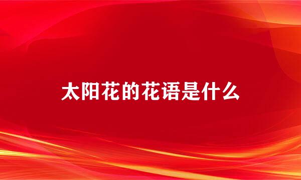 太阳花的花语是什么