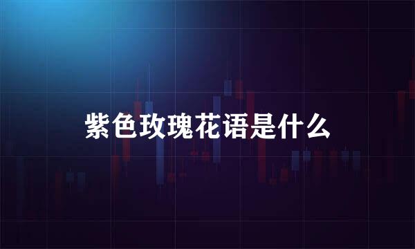 紫色玫瑰花语是什么