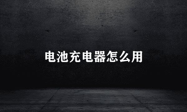 电池充电器怎么用