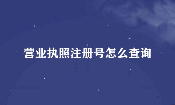 营业执照注册号怎么查询