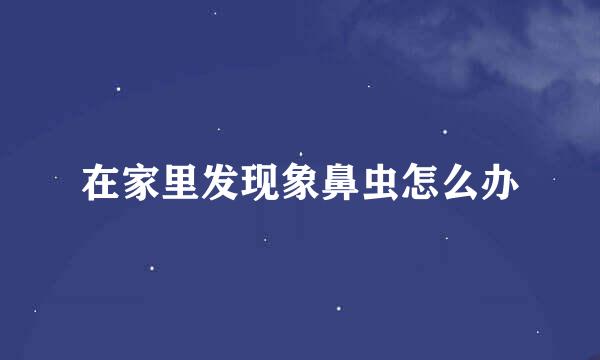 在家里发现象鼻虫怎么办