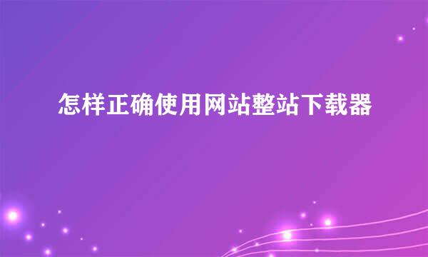怎样正确使用网站整站下载器