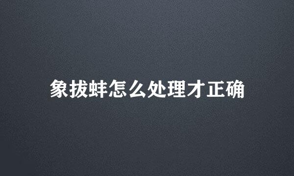 象拔蚌怎么处理才正确