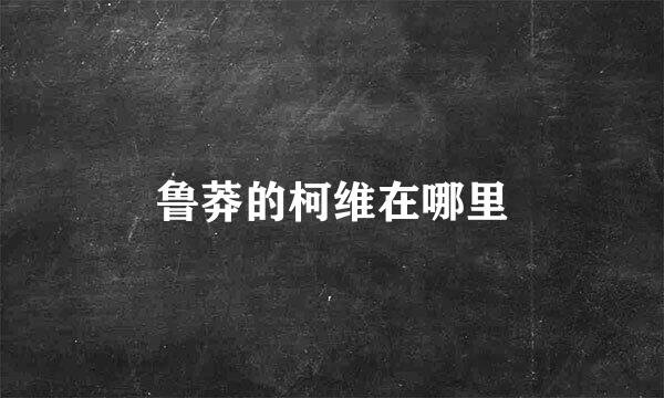 鲁莽的柯维在哪里