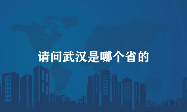 请问武汉是哪个省的
