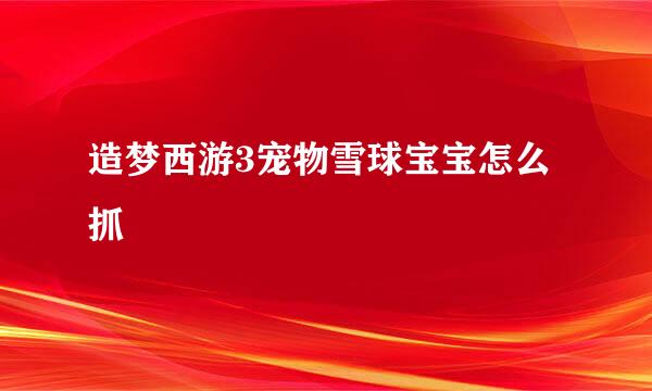 造梦西游3宠物雪球宝宝怎么抓