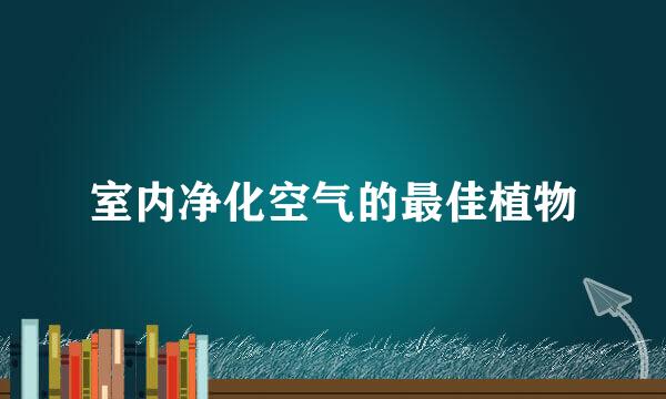 室内净化空气的最佳植物