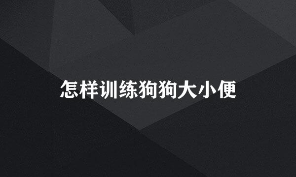 怎样训练狗狗大小便