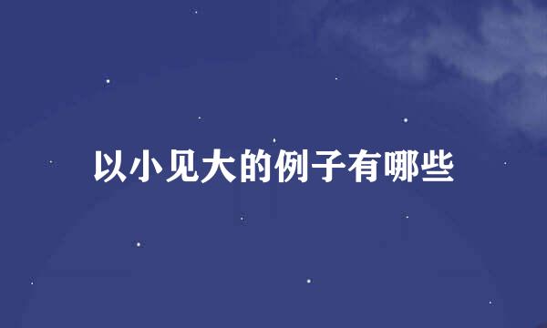 以小见大的例子有哪些