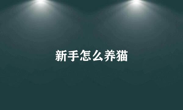 新手怎么养猫