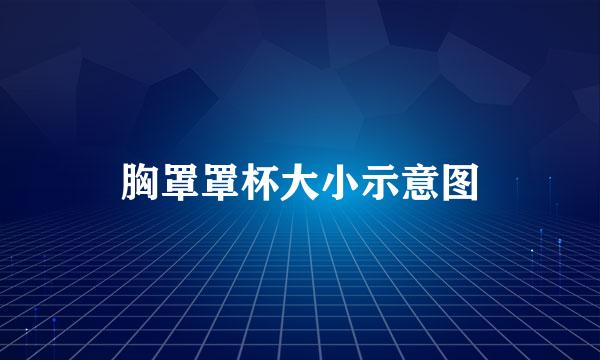 胸罩罩杯大小示意图