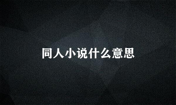 同人小说什么意思