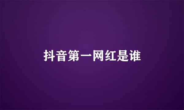 抖音第一网红是谁