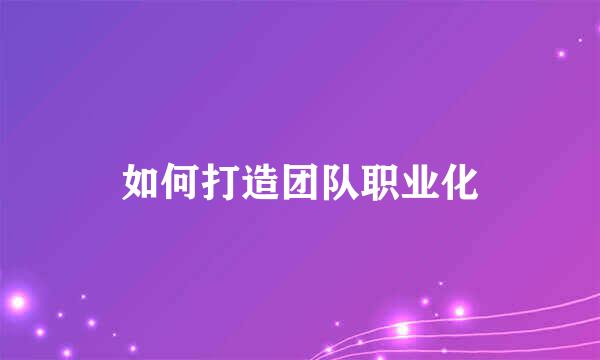 如何打造团队职业化