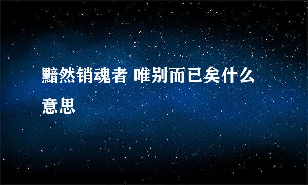 黯然销魂者 唯别而已矣什么意思